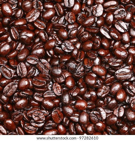Coffee beans background. Texture of coffee beans dark roasted arabica bean. Nice background texture with rich detail.