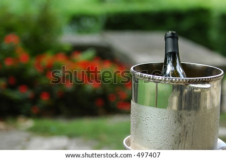 Wine in ice bucket in garden