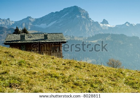 Alpine Scene