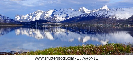 Arctic mountains and fjord in northern Norway at summer
