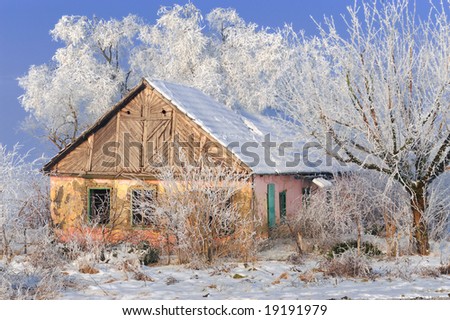Old village house in the winter, surrounded by ice and frost covered trees and bushes