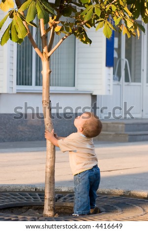 Boy And Tree