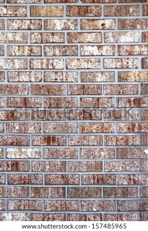 Colorful brick wall texture background