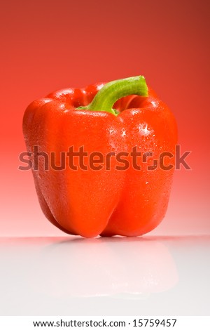 red bell pepper lit with red gradient lighting with water droplets