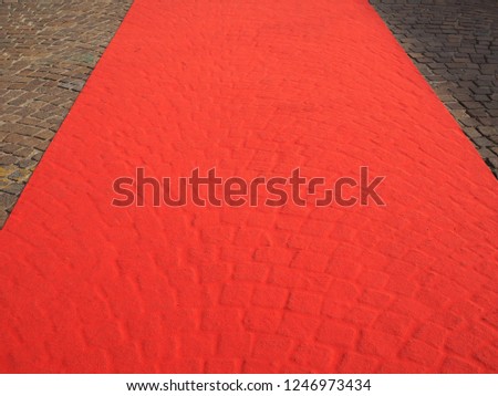 blank red carpet on to mark the route of heads of state, vips and celebrities on ceremonial and formal occasions or events