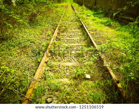vintage disused railway railroad tracks covered by vegetation vintage retro