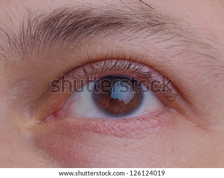 Close detail of an eye pupil and eyelids