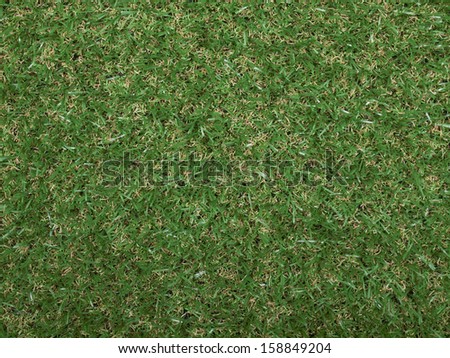 Green synthetic grass useful as a backgroun