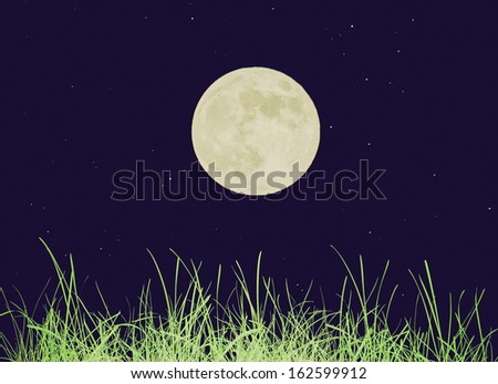 Vintage looking Green grass meadow over black background with moon and stars