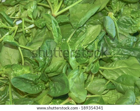 Green spinach leaves edible flowering plant vegetarian food
