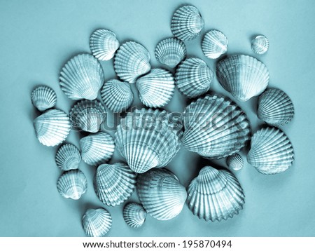 Range of sea shells in blue water - cool cyanotype