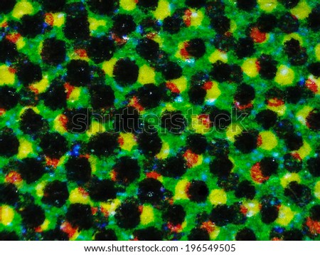 Light photomicrograph of colour halftone print dots seen through a microscope