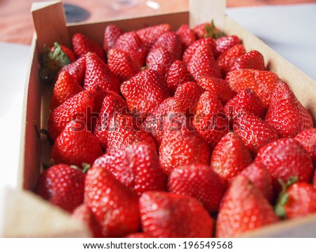 Strawberry fruit aka garden strawberry or fragaria with selective focus for depth of field