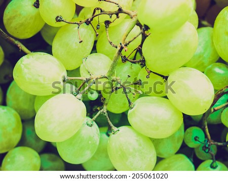 Vintage retro looking Grape of vitis picture