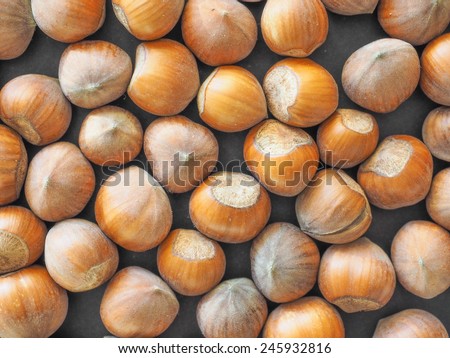 Hazelnut dried fruits aka cobnut or filbert nut useful as background