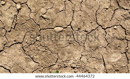 Dry earth in a field showing the effects of severe drought caused by global warming - (16:9 ratio)