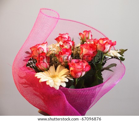 A bouquet of red roses - perennial flower shrub vine of genus Rosa Rosaceae