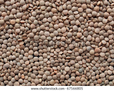 Food - Detail of Lentil pulse nut (Lens culinaris) - useful as a background