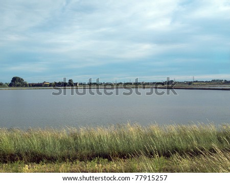 flooded land