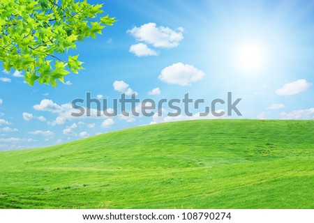 The landscape of the sun lawn.