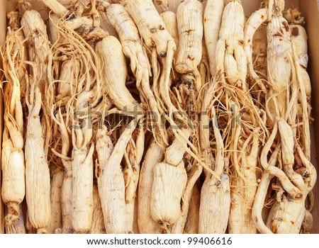 Chinese ginseng, one of the well-known tonic.