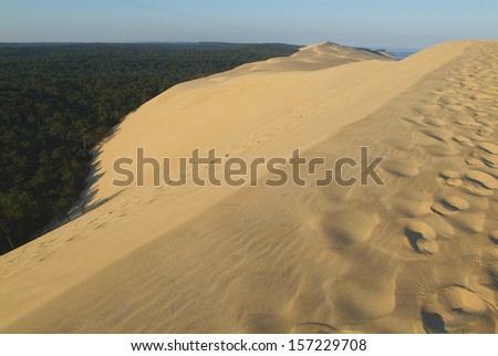 Sand Dune - Desert - Dune of Pilat