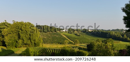 Vineyard landscape-Vineyard south west of France, Bordeaux Vineyard