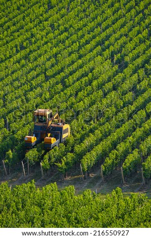 Agricultural machine in the vineyards-Landscape-Vineyard south west of France, Bordeaux Vineyard