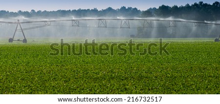 Irrigation pipes and spray in a field