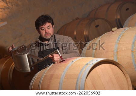 Winemaker Decanting wine in a barrel\'s cellar