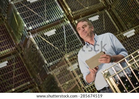 Winemaker working inventory management of its wine bottles in his cellar