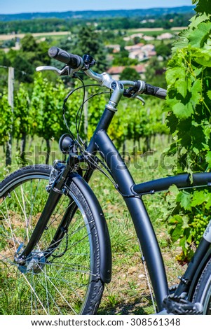 Wine Tourism-Bicycle in Bordeaux vineyards