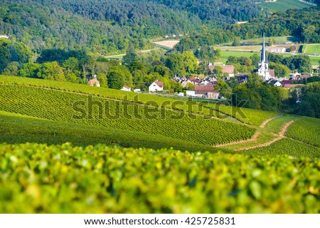 Champagne vineyards in the Cote des Bar area of the Aube department near to Les Riceys, Champagne-Ardennes, France, Europe