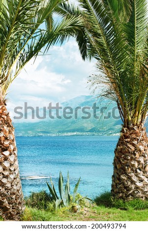 Palm tree leaves over Mediterranean Sea in sunny day on beach in Crete island