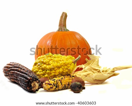 Fall still life of pumpkin, maize, gourds, and nuts isolated on white.