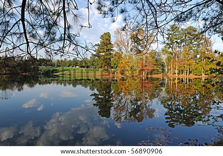 Small lake in Fall seen through pine trees with sky and trees reflected on its surface.