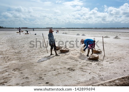 People Working in the salt field at Samut Songkarm