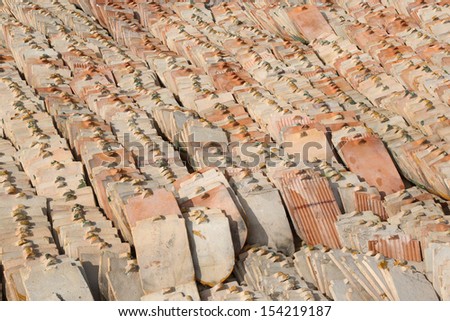 Temple roof tiles, Tiles of thailand house,Tile roof temple in Thailand .