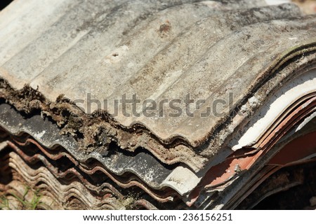 Close up Detail of Old Roof Tiles texture. Tile , Old tile.