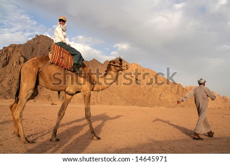 Woman riding camel in Egypt