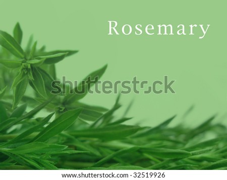 rosemary background