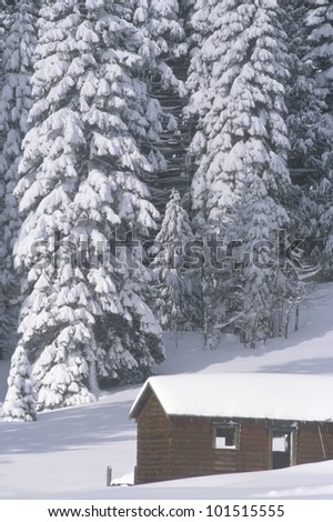 Snow covered wooden cabin in forest, California