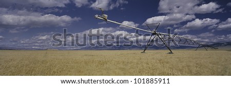 This is a golden field of wheat with its irrigation device.
