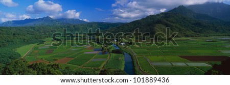 This is the Hanalei Valley Overlook. These are the fields of Toro.
