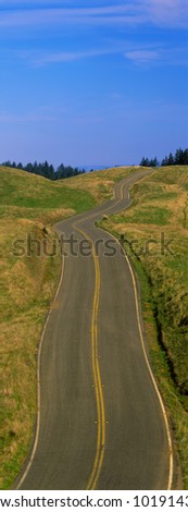This is the Golden Gate National Recreation Area at Mount Tamalpais. There is a winding spring road with no cars on it.