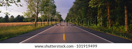 This is a tree lined road at sunset. It is located on the Eastern Shore of Maryland.