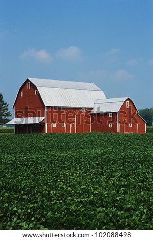 This is a Midwest farm. It has a red barn and corn growing in the field.