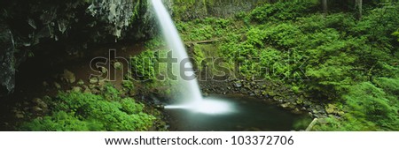 Pony Tail Falls, Columbia River, Portland, Oregon