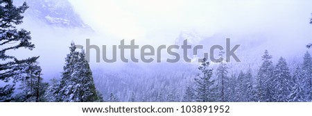 Winter storm in Yosemite, California