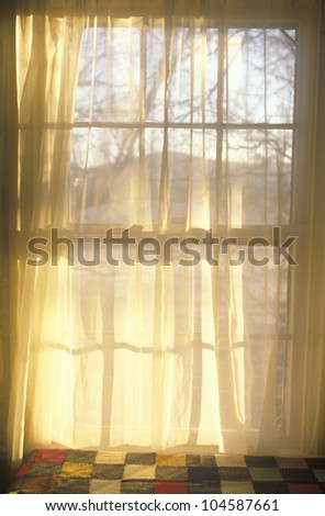 Sheer curtains through paned window